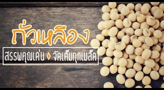 ถั่วเหลือง​