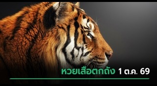 ข่าวหวย