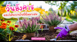 ดูดวงเดือนเมษายน