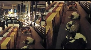 ร้านกาแฟหัวหิน