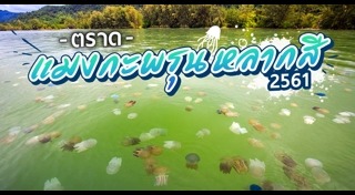 เที่ยวตราด