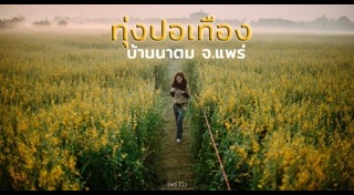 เที่ยวแพร่