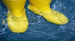 ฮ่องกงฟุต