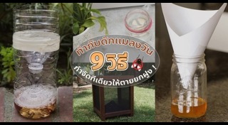 วิธีกำจัดแมลงวัน