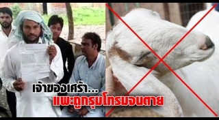 ข่มขืนสัตว์