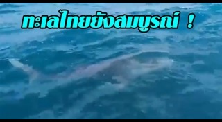 เกาะสีชัง