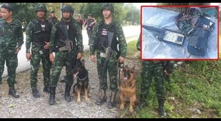 สุนัขทหาร