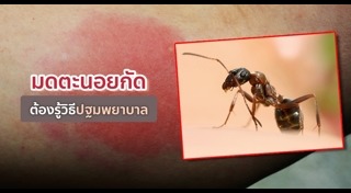 วิธีกำจัดมด