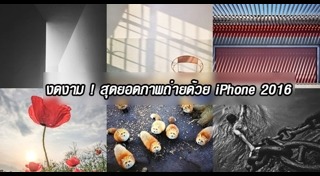 ภาพถ่ายยอดเยี่ยม