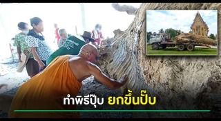 ต้นตะเคียน