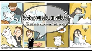 คนกับแมว