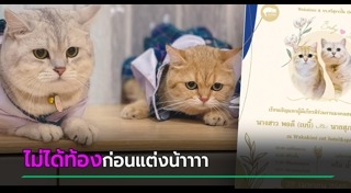 ข่าวสัตว์เลี้ยง