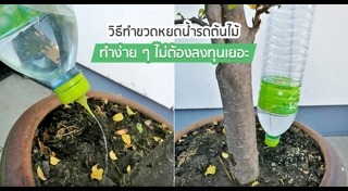 สิ่งประดิษฐ์จากกระดาษ