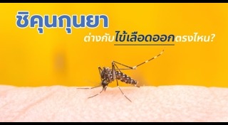 โรคที่เกิดจากยุงลาย