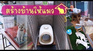 กรงแมว