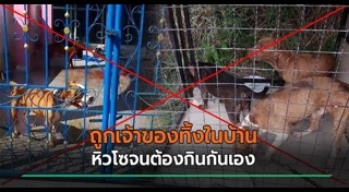 สุนัขถูกทิ้ง