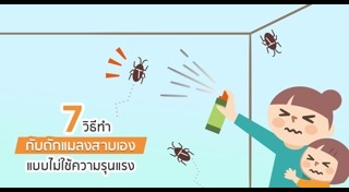 DIY ชั้นวางของ