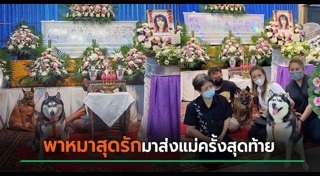 ซันนี่ ยูโฟร์