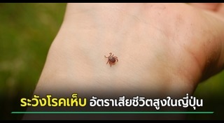 เที่ยวญี่ปุ่น