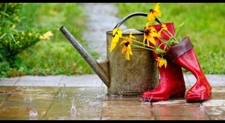 วิธีดูแลสวน