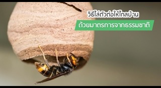 ต่อ