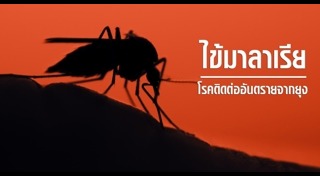 มาลาเรีย
