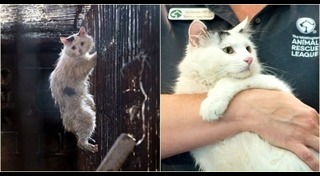 เทศกาลแปลกๆ