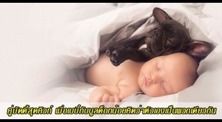 เด็กกับหมา