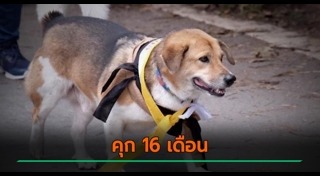 เตี้ย มช.