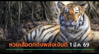 สลากกินแบ่งรัฐบาล