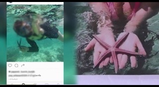 เกาะหลีเป๊ะ