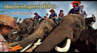 งานช้างสุรินทร์