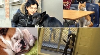 หมาช่วยเด็ก