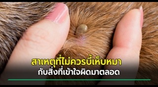 เห็บหมัด