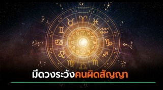 ดูดวงการงาน