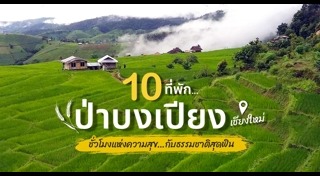 ป่าบงเปียง