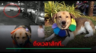 เตี้ย มช.