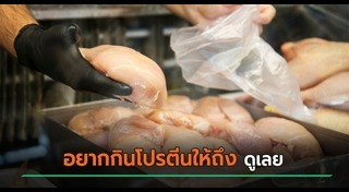 โปรตีน