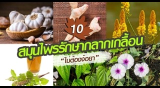 เกลื้อน