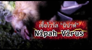 ไวรัสนิปาห์