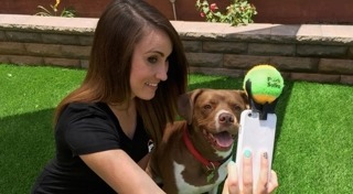 อุปกรณ์เลี้ยงสัตว์