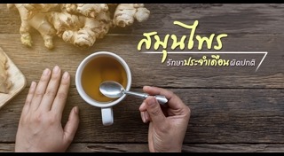 สมุนไพรแก้ประจำเดือน