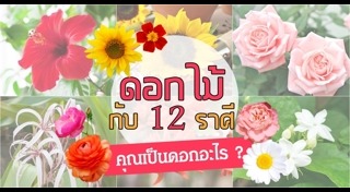 งานศิลปะจากดอกไม้