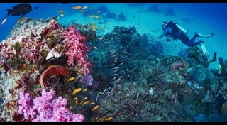 กฎระเบียบ