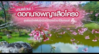 พญาเสือโคร่ง