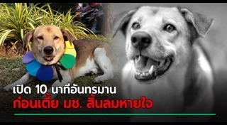 เตี้ย มช.