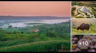 เที่ยววังน้ำเขียว