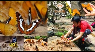 เที่ยวสระแก้ว