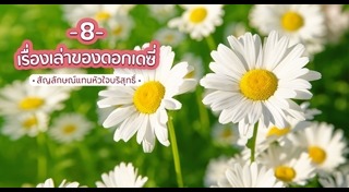 ไม้ดอกปลูกหน้าร้อน