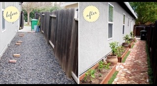 แปลงปลูกผัก